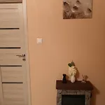 Bodnar * Siófok